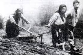 peasants plowing field in Galicia