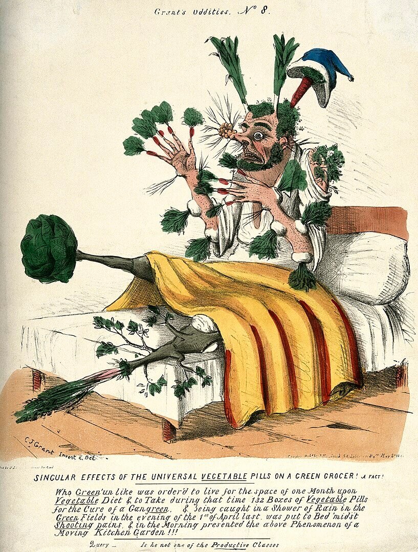 Grant's oddities No 8, the Singular Effects of the Universal Vegetable Pills on a Green Grocer